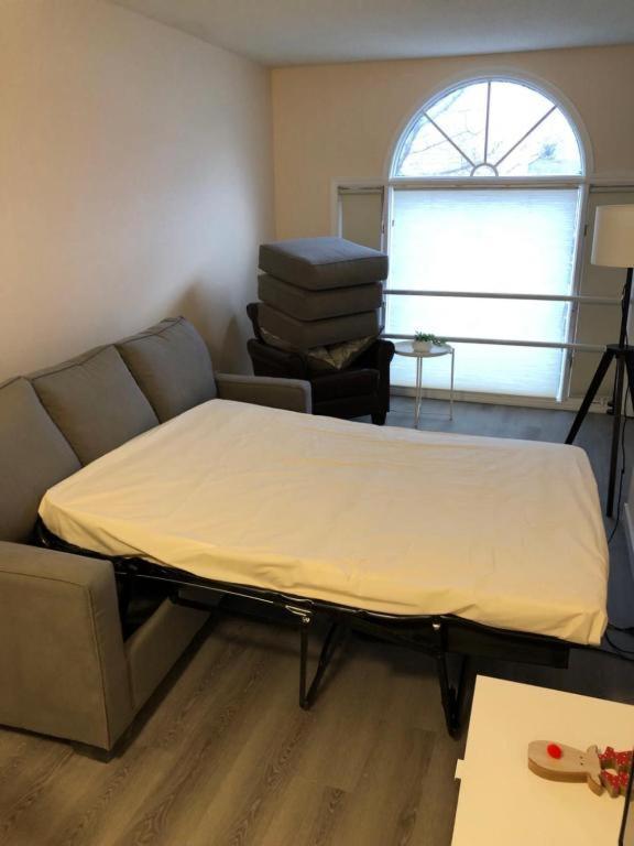 شقة Unit #201 Cozy Mountain View 1Br In Dt كانمور المظهر الخارجي الصورة